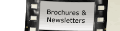 Brochures & Newsletters